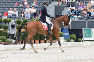 FEI European Championship Eventing 2019