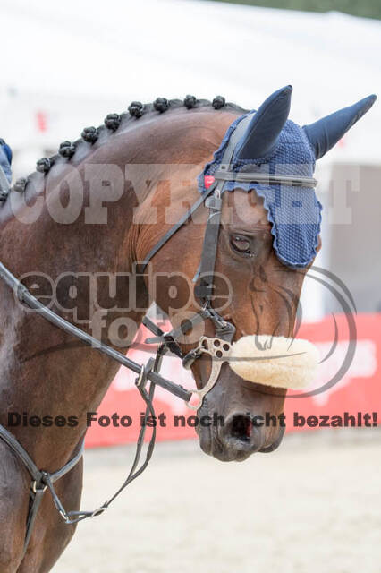 FEI European Championship Eventing 2017