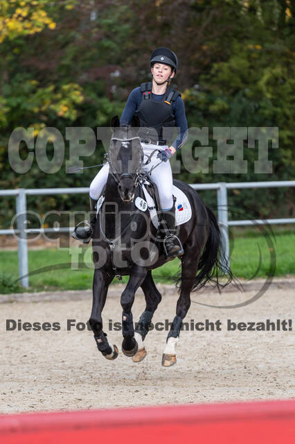 Reiter Schleswig-Holstein