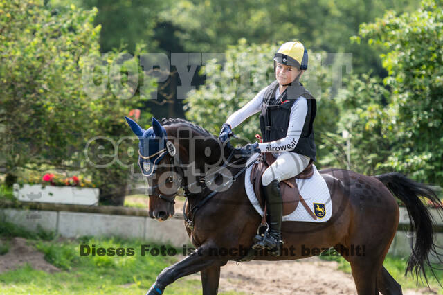 Goldene Schärpe 2021 - Ponys