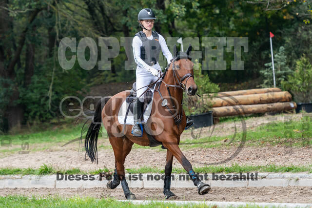 Goldene Schärpe 2020 - Pferde