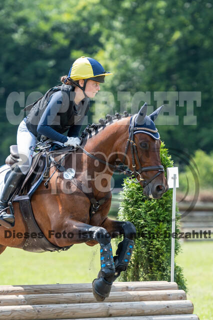 Goldene Schärpe 2021 - Ponys