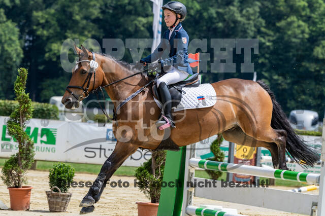 Goldene Schärpe 2021 - Ponys