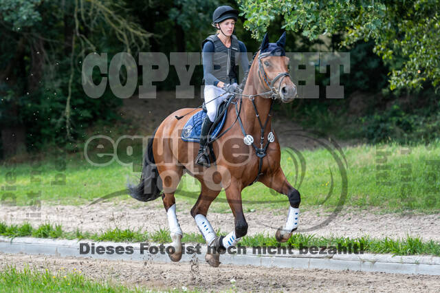 Late-Entry-Vielseitigkeit Langenfeld (06.+07.07.2020)