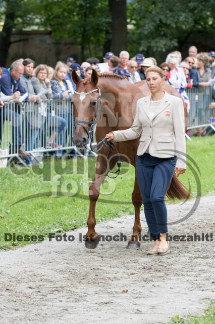 FEI European Championship Eventing 2017