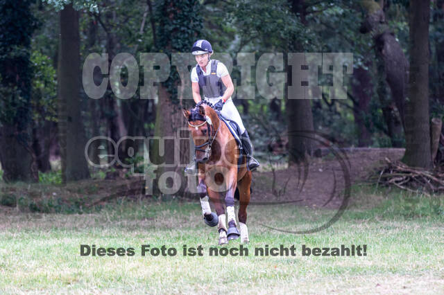 Late-Entry Vielseitigkeit Hamminkeln/Wesel (01.+02.08.2020)