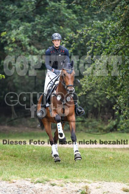 Late-Entry-Vielseitigkeit Langenfeld (11.+13./14.06.2020)