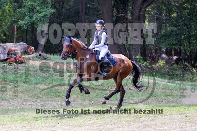 Late-Entry Vielseitigkeit Hamminkeln/Wesel (01.+02.08.2020)