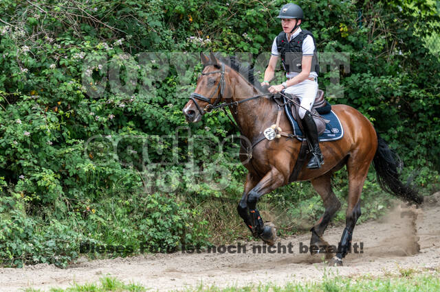 Late-Entry-Vielseitigkeit Langenfeld (11.+13./14.06.2020)