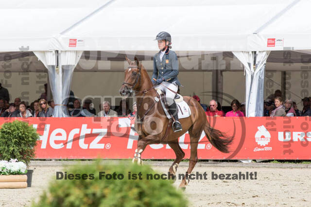 FEI European Championship Eventing 2017