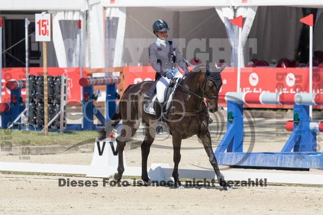 FEI European Championship