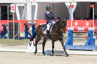 FEI European Championship