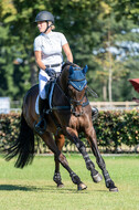 Kronenberg - De Peelbergen (August 2020)