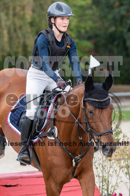 Goldene Schärpe 2020 - Pferde