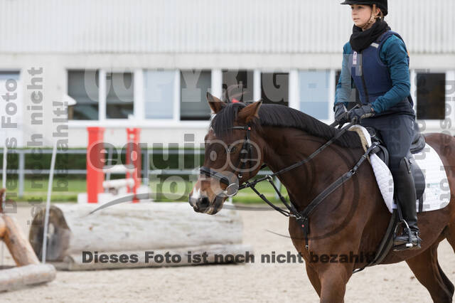 IGV Lehrgang der Sieger der Cups mit Frank Ostholt