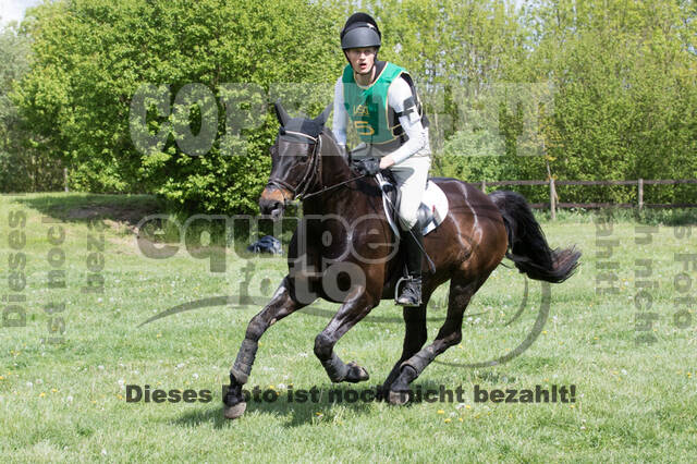 Sterne über Münster 2019 - CCI***S