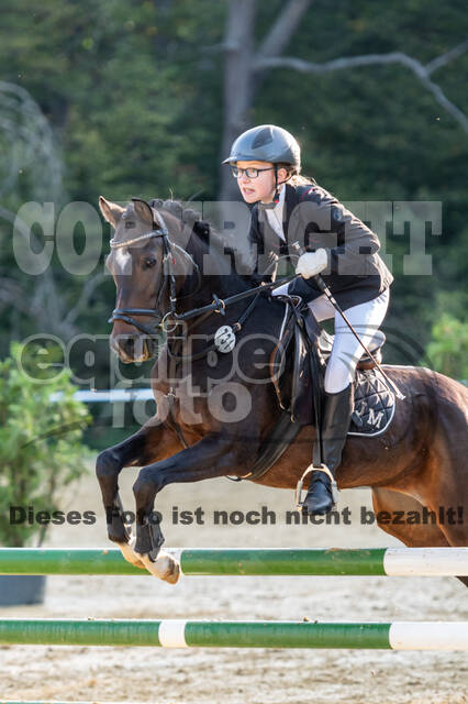 RFV Dinslaken-Hiesfeld (Herbstturnier)