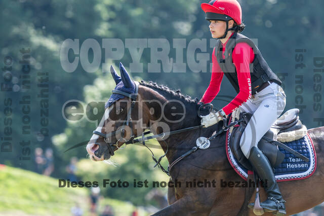 Goldene Schärpe 2021 - Ponys