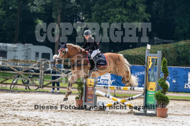 Goldene Schärpe 2021 - Ponys