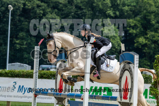 Goldene Schärpe 2021 - Ponys