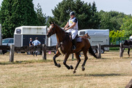 Late-Entry Vielseitigkeit Hamminkeln/Wesel (01.+02.08.2020)