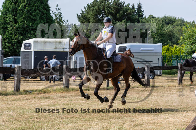 Late-Entry Vielseitigkeit Hamminkeln/Wesel (01.+02.08.2020)