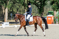 Kronenberg - De Peelbergen (August 2020)