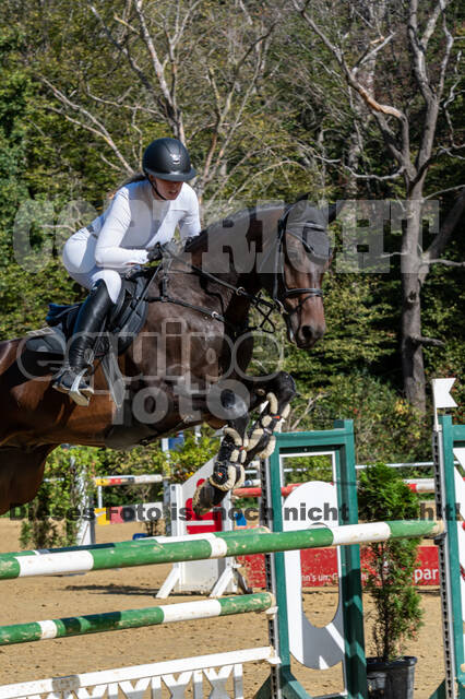 RFV Dinslaken-Hiesfeld (Herbstturnier)