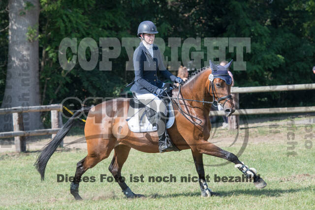 Vielseitigkeitsturnier ZRuFV von Lützow Hamminkeln