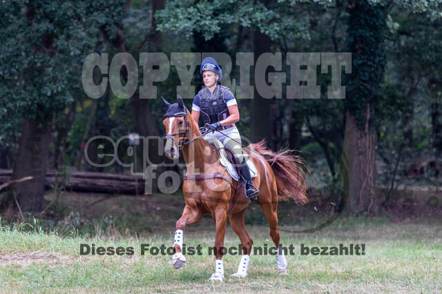 Late-Entry Vielseitigkeit Hamminkeln/Wesel (01.+02.08.2020)