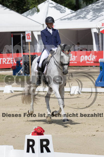 FEI European Championship Eventing 2017