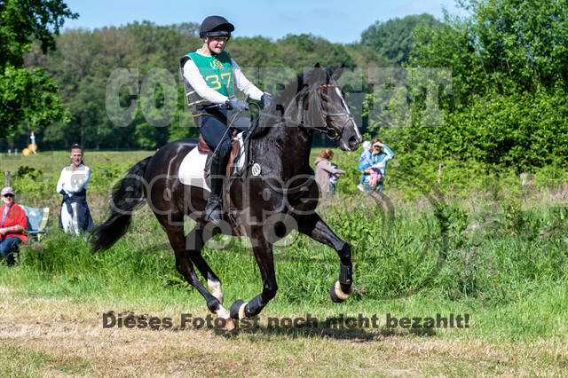 Westerstede Horse Trials (10.-13.06.2021)