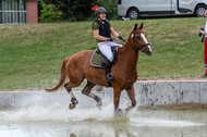 Late-Entry-Vielseitigkeit Langenfeld (11.+13./14.06.2020)