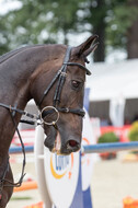 FEI European Championship