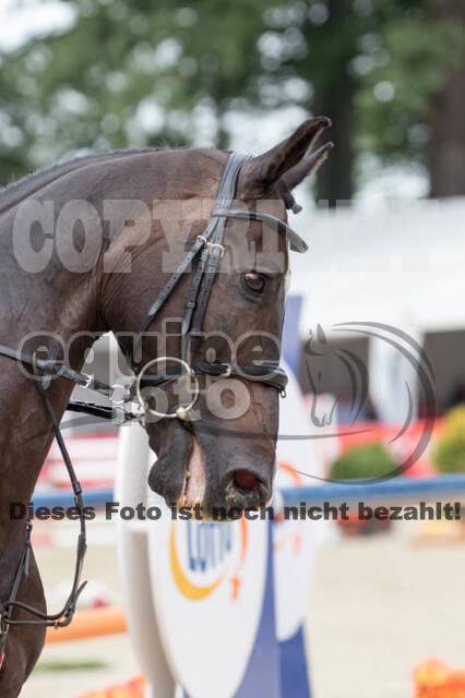 FEI European Championship
