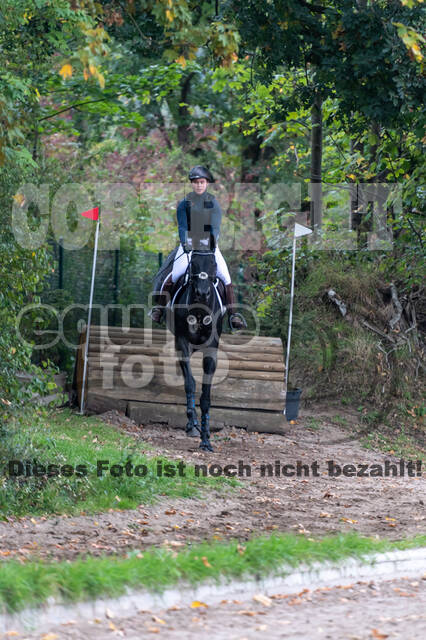 Goldene Schärpe 2020 - Pferde