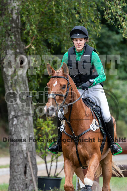 Late-Entry-Vielseitigkeit Langenfeld (11.+13./14.06.2020)