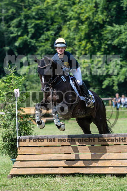 Goldene Schärpe 2021 - Ponys