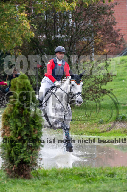 Goldene Schärpe 2020 - Pferde