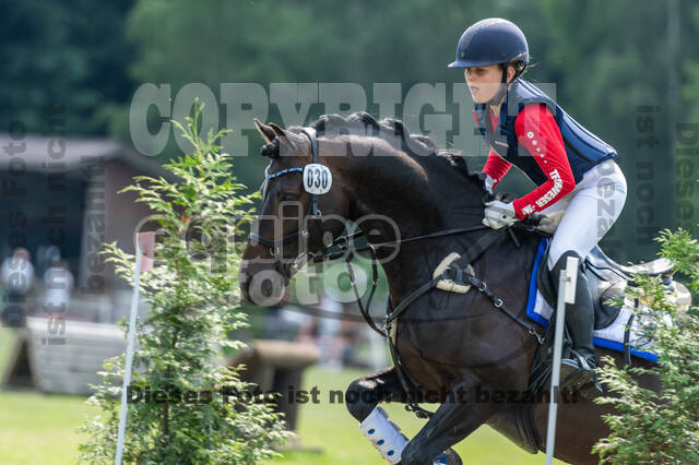 Goldene Schärpe 2021 - Ponys