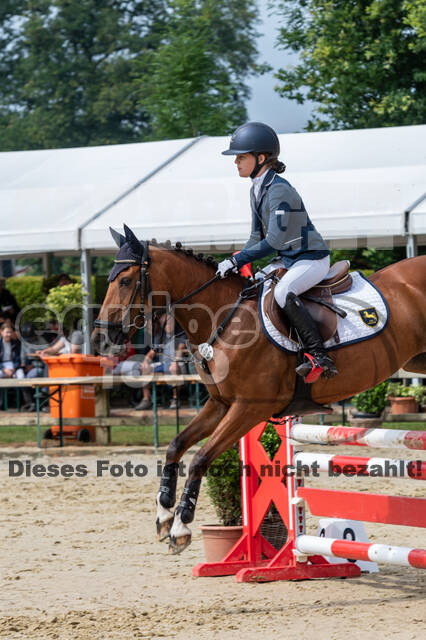 Goldene Schärpe 2021 - Ponys