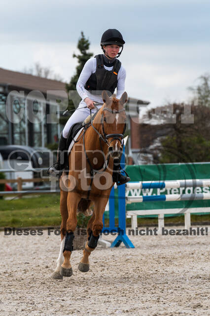 Eventing im Pferdesportzentrum Rheinland (Late Entry 14.03.2022)