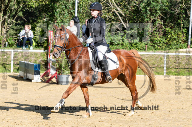 RFV Dinslaken-Hiesfeld (Herbstturnier)