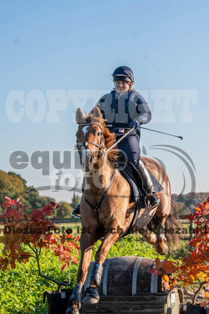 Vielseitigkeitslehrgang mit Jürg Kurbel (9.+10.11.2019)