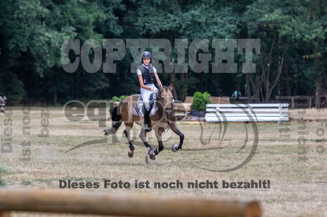 Late-Entry Vielseitigkeit Hamminkeln/Wesel (01.+02.08.2020)