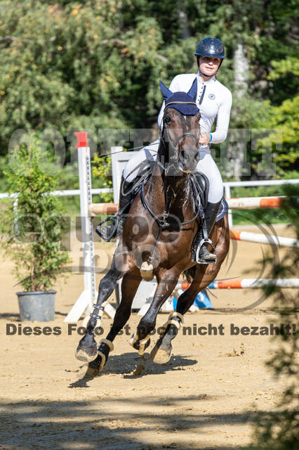 RFV Dinslaken-Hiesfeld (Herbstturnier)