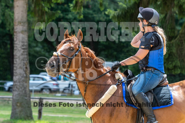 Hunter Geländetraining 10.07.2021 (Sonsbeck)