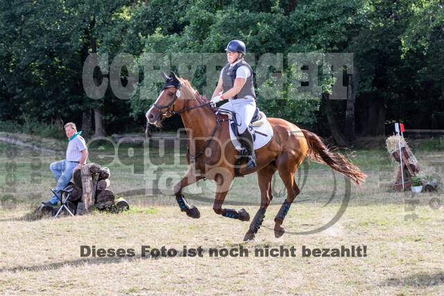 Late-Entry Vielseitigkeit Hamminkeln/Wesel (01.+02.08.2020)