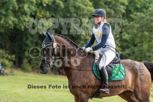 Vielseitigkeit RSV Wesel Obrighoven (26.+27.09.2020)