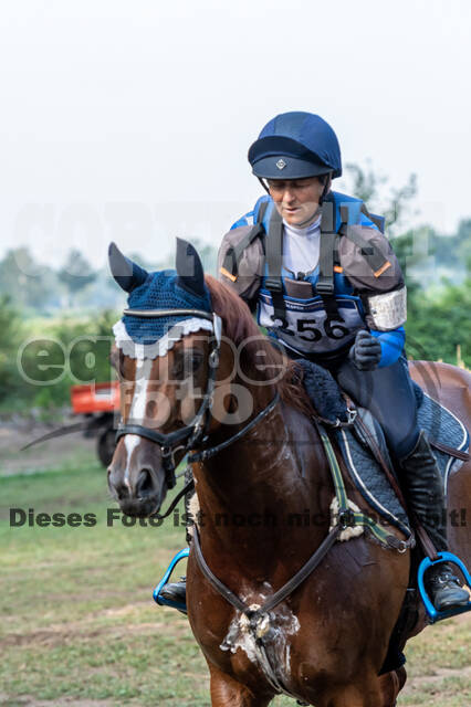 De Peelbergen (August 2020)